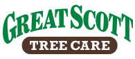 Great Scott Tree Care